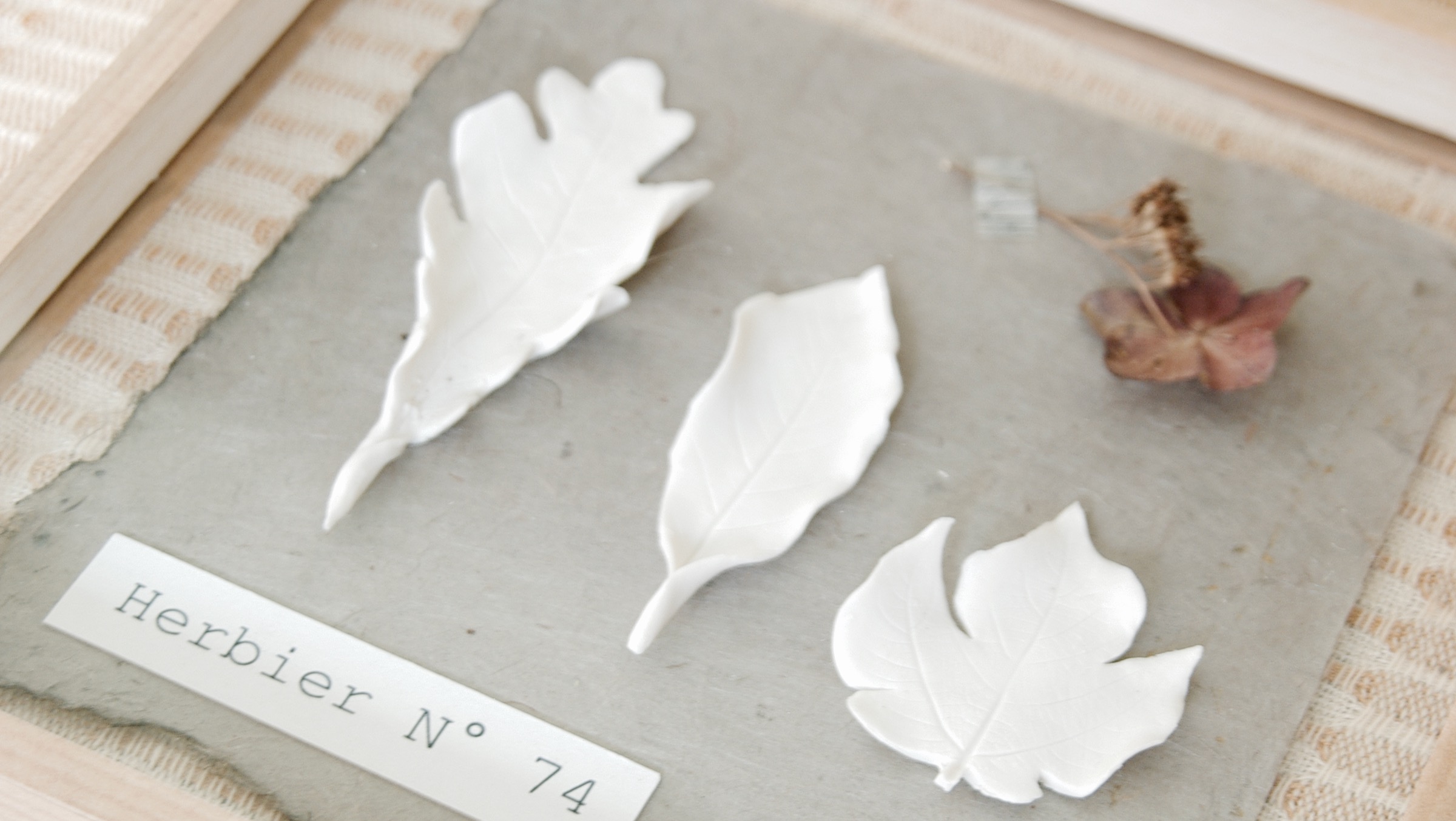 Herbier Dai ceramic